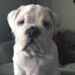 Meet your Posher, Derek